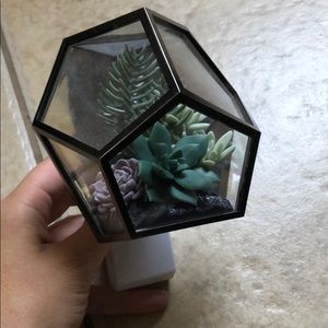 Bath&BodyWorks succulent garden wallflower plug